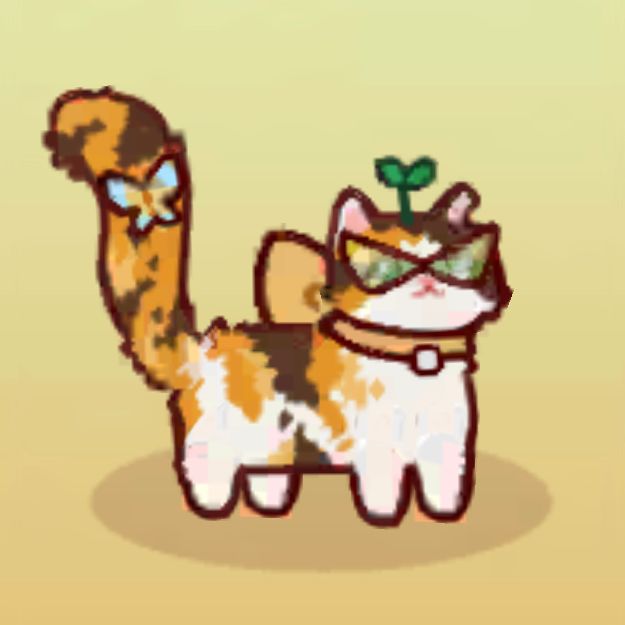 萌猫来的 2
