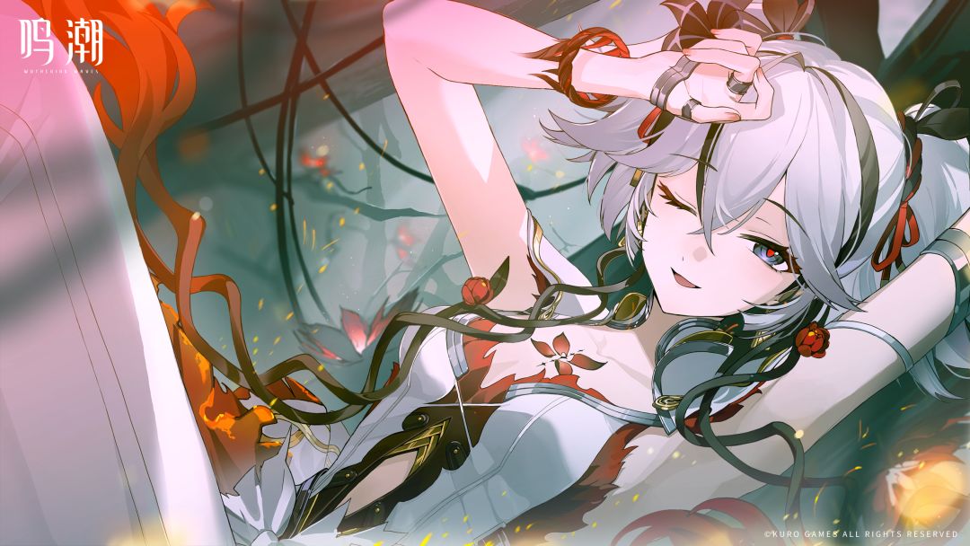 搬运分享|椿(收藏向) 2