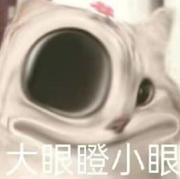 宠物大乱斗1.34版本更新截图