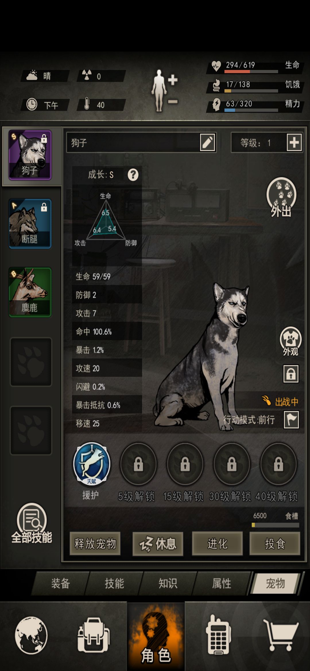 开到一只狗子,相比断腿养哪个好啊 1