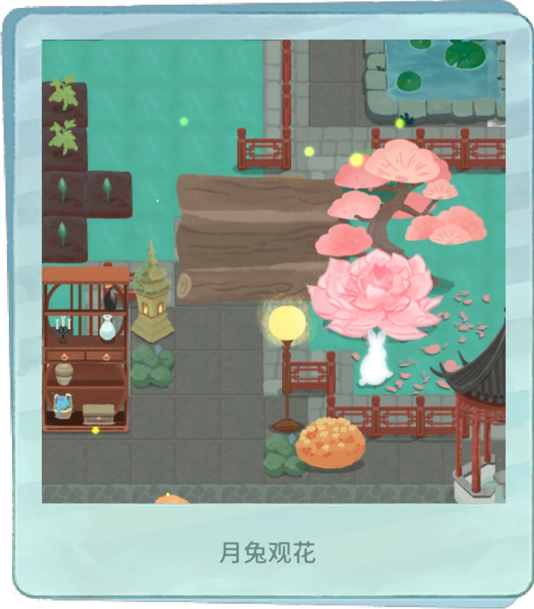 巨蛋森林装修完工存档(拙政园) 3