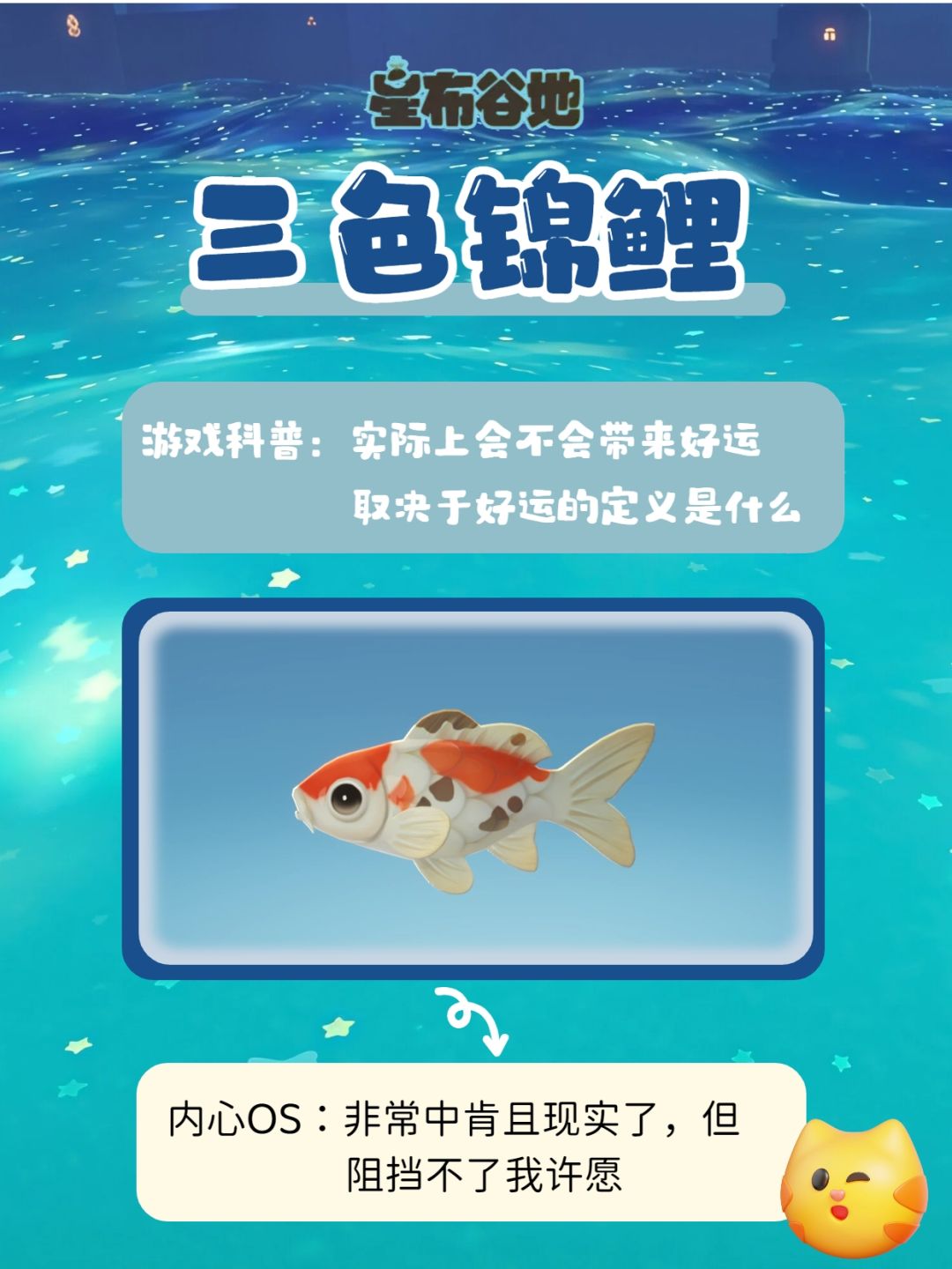 惊!小鱼也有秘密! 1