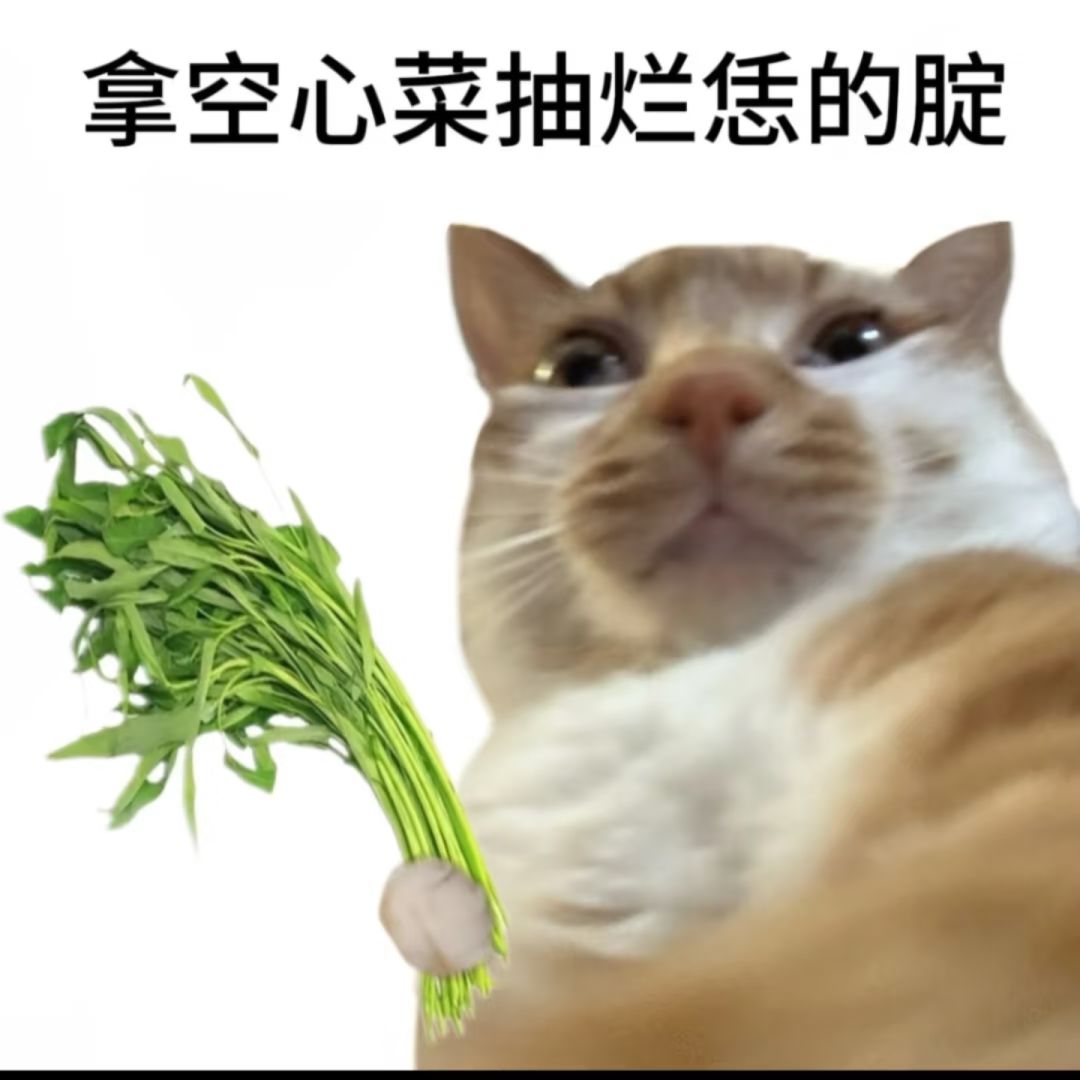 低氪起号,对齐颗粒度【DAY5】 1