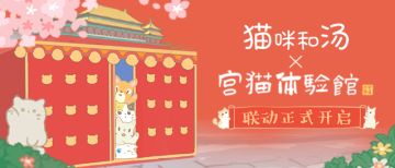 猫咪和汤×宫猫体验馆 奉旨撸猫主题店上线