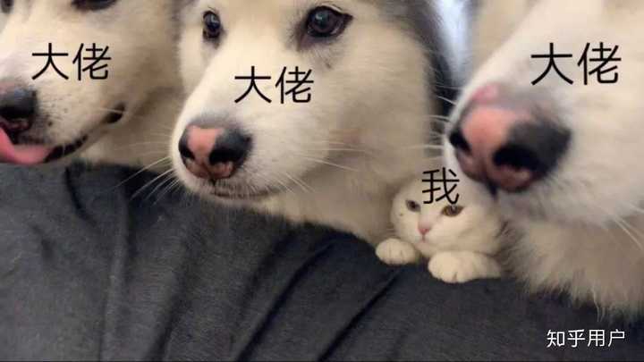 记录萌新第一次冲击福地 1