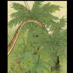 嗷呜嗷呜~截图