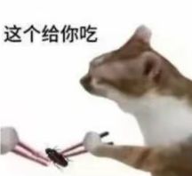 一区家族千川招人！新手友好 2