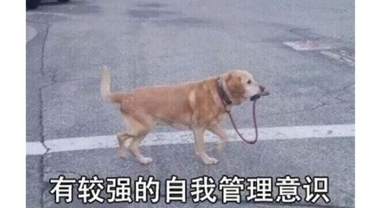 新入坑的阴剑玩家 2