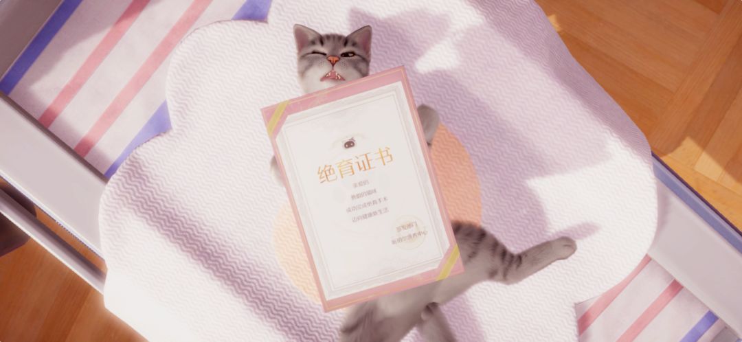 猜猜我干了什…… 1