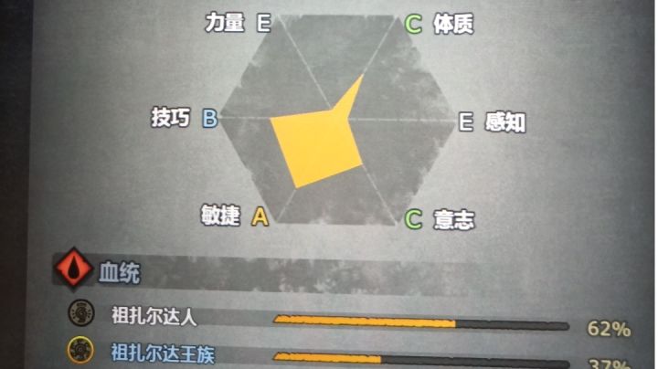 酒馆招募18银币的王血截图