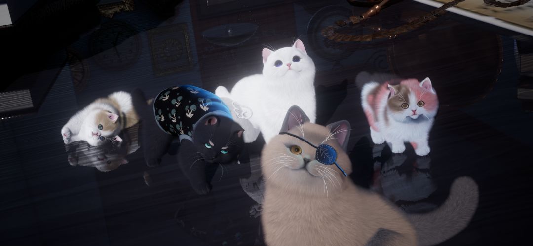羊角×头纱以及新的猫猫合照 4