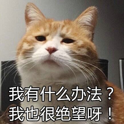 游戏好友加了微信后反而疏远了?截图