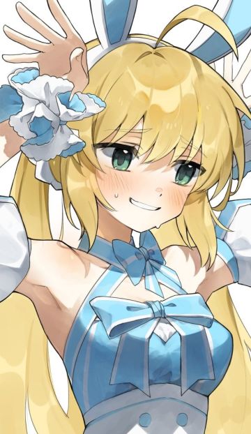 个人常用的FGO常用术语（2）