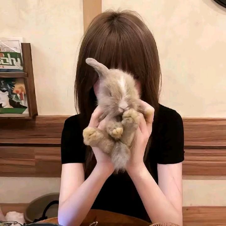 头像截图