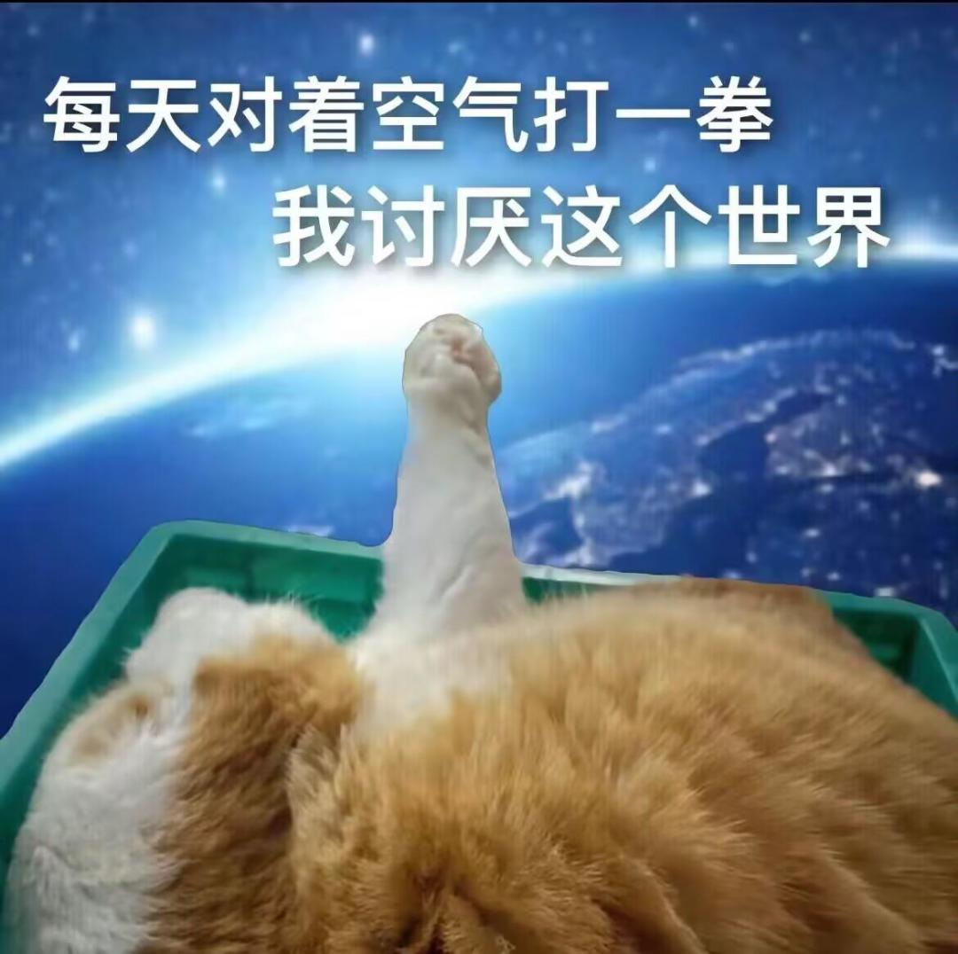 幻想兵种:拳宗 1