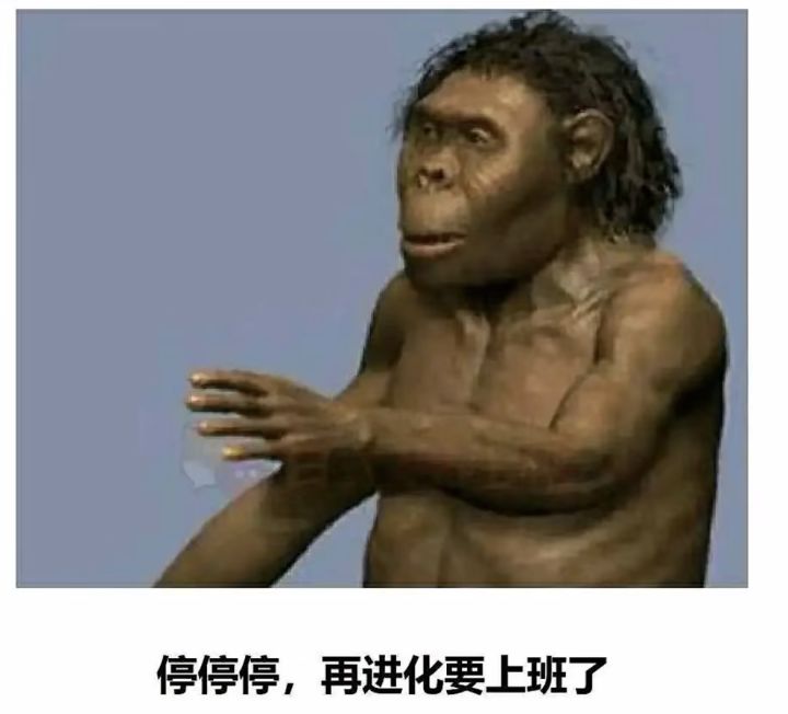 ios手柄适配问题什么时候解决呀截图