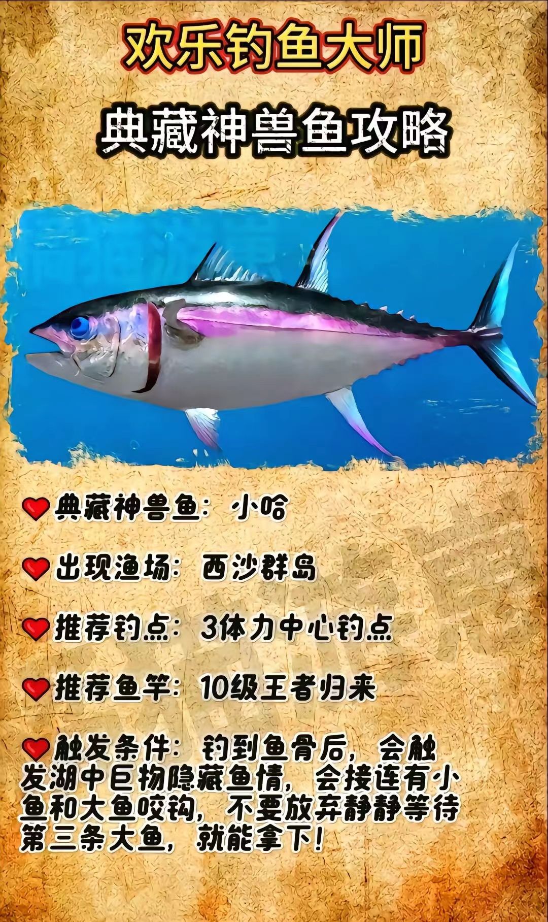让我看看谁还掉不上来典藏神兽鱼 3