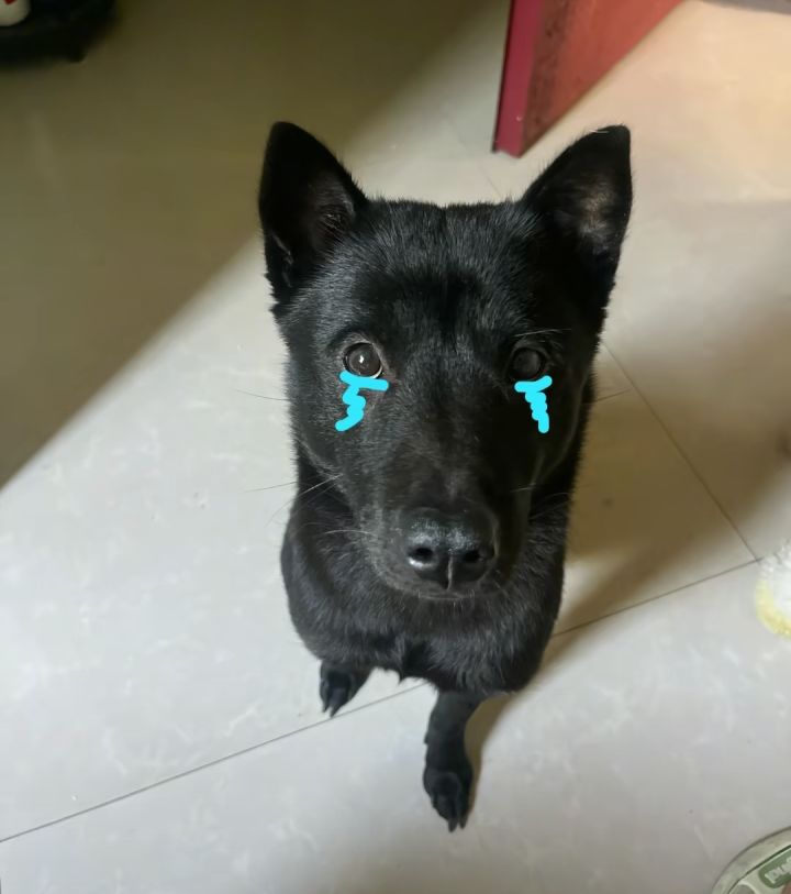心脏又不在中间 对你偏心怎么了截图