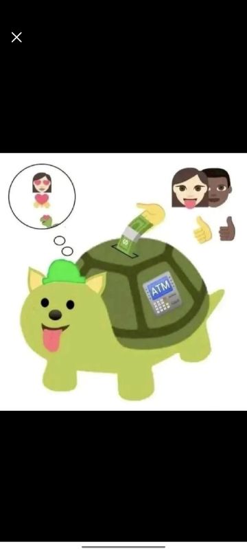 关于伴侣系统，仅我个人愚见，给出以下观点