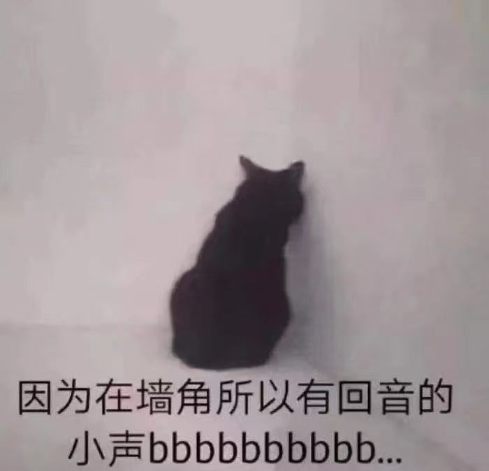 动态图片 4