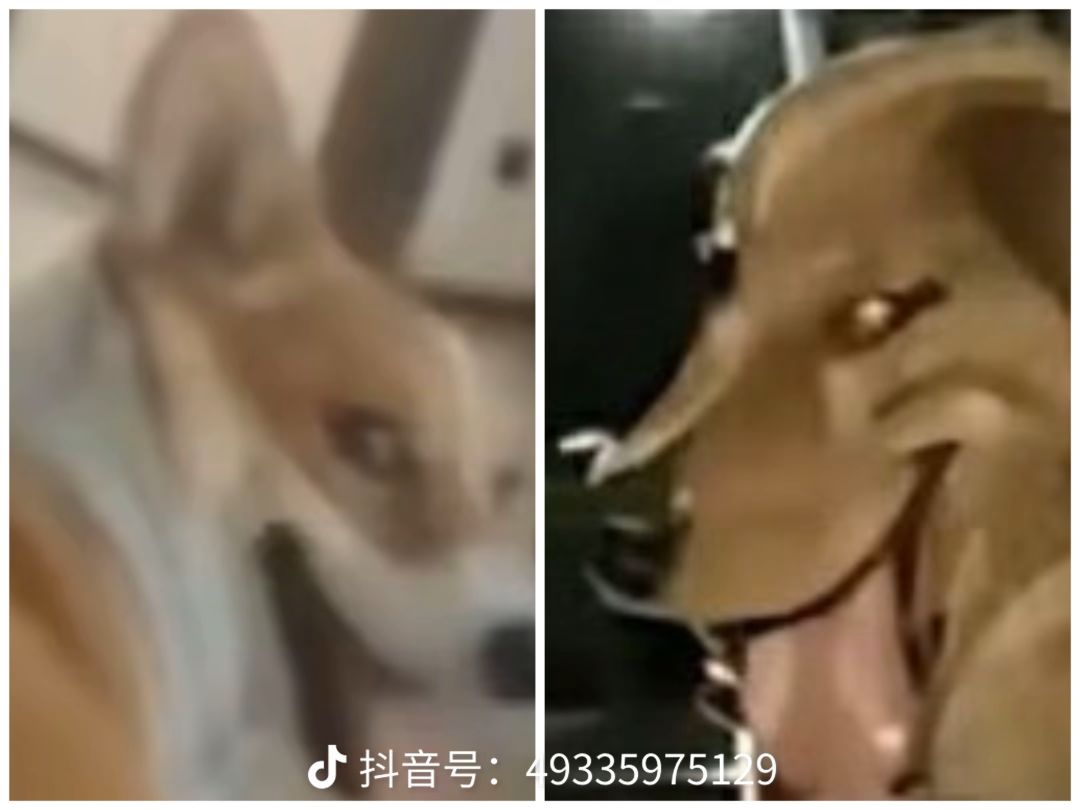 有没有小团体一起玩,本人纯萌新 1