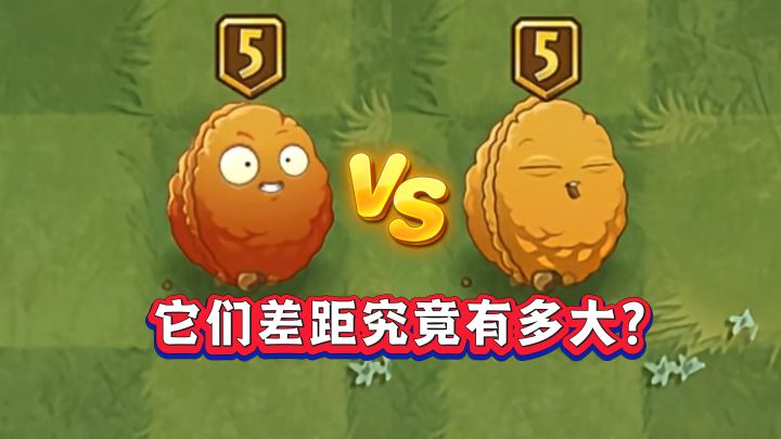 爆炸坚果VS坚果墙,二者差距究竟有多大?截图