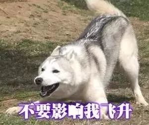 洪阶——重生之第一次打时光秘境（2022.10月赛季）