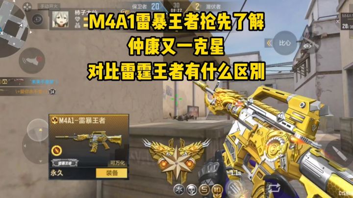 M4A1雷暴王者抢先了解,仲康新克星,对比雷霆王者有什么区别截图