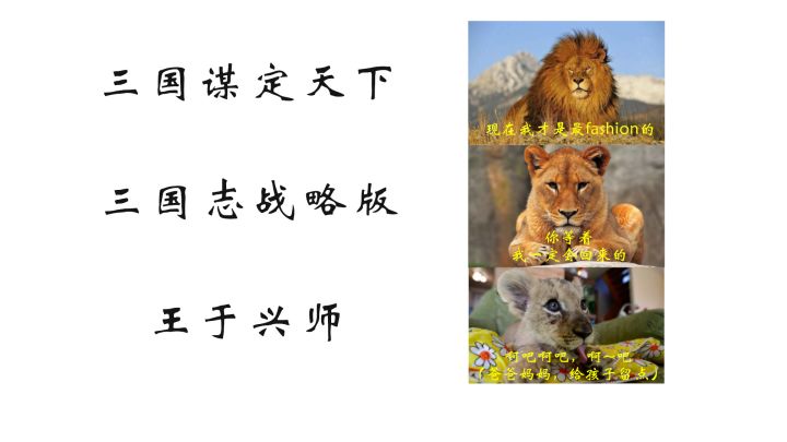 SLG游戏真坚挺啊(๑•̀ㅂ•́)و✧截图