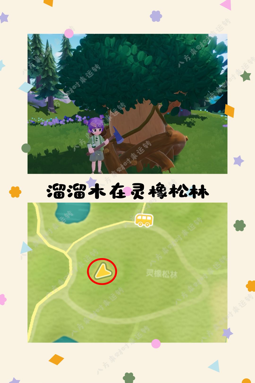 8.13号心动小镇攻略来啦！！！ 3