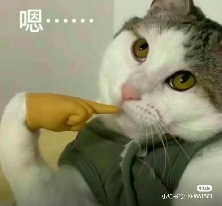 越玩越上头截图
