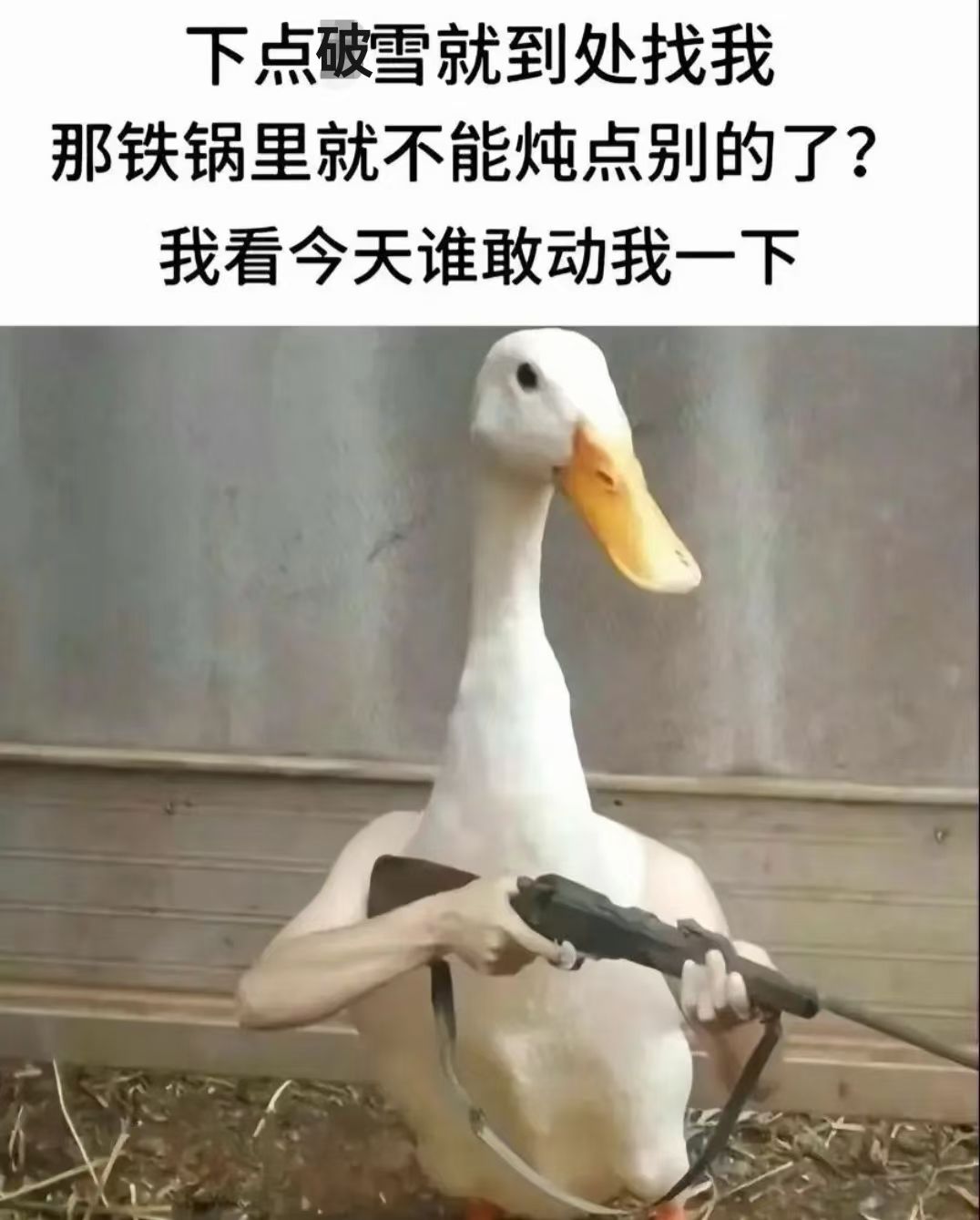 这都16号了,测试资格嘛时候发放啊? 1