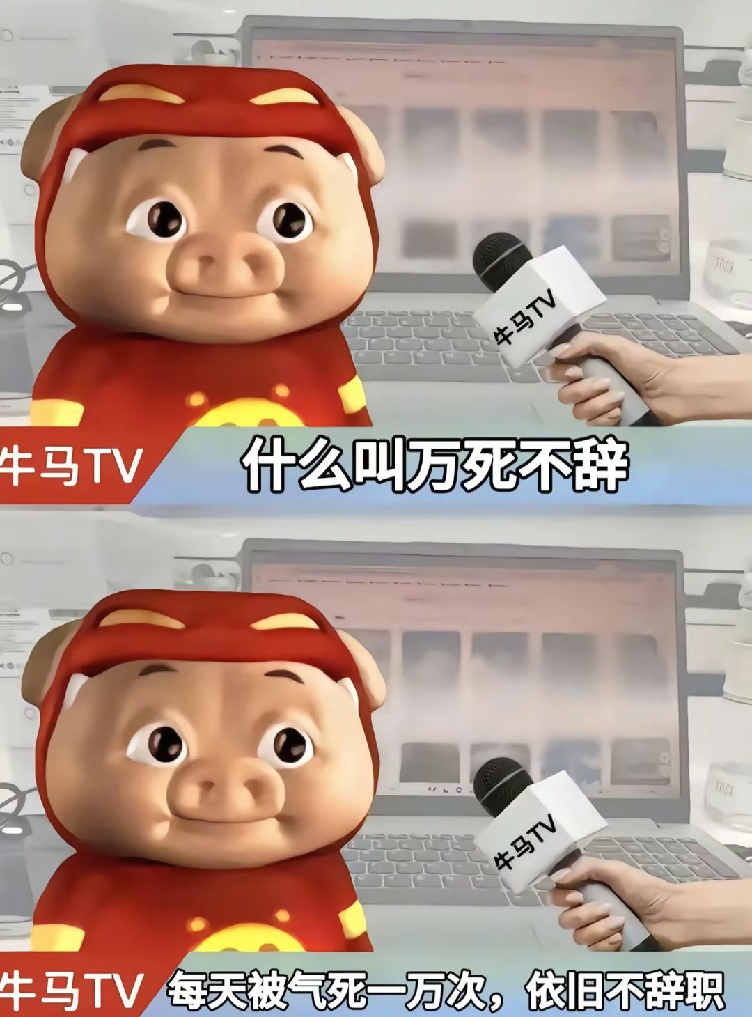 ✨今日份梗图分享第九十二期✨ 3