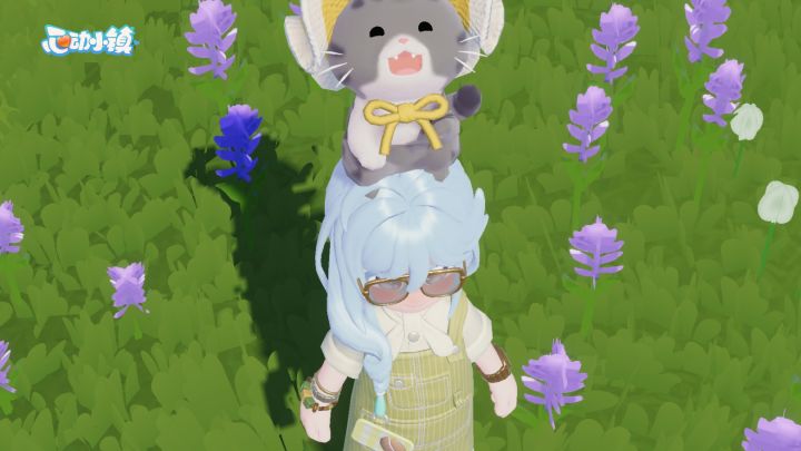 谁懂我家猫
(>▽<)🤩🤩截图
