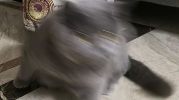 因为评价写不下的牌组通用个人理解（绿卡蓝卡），欢迎参考捉虫