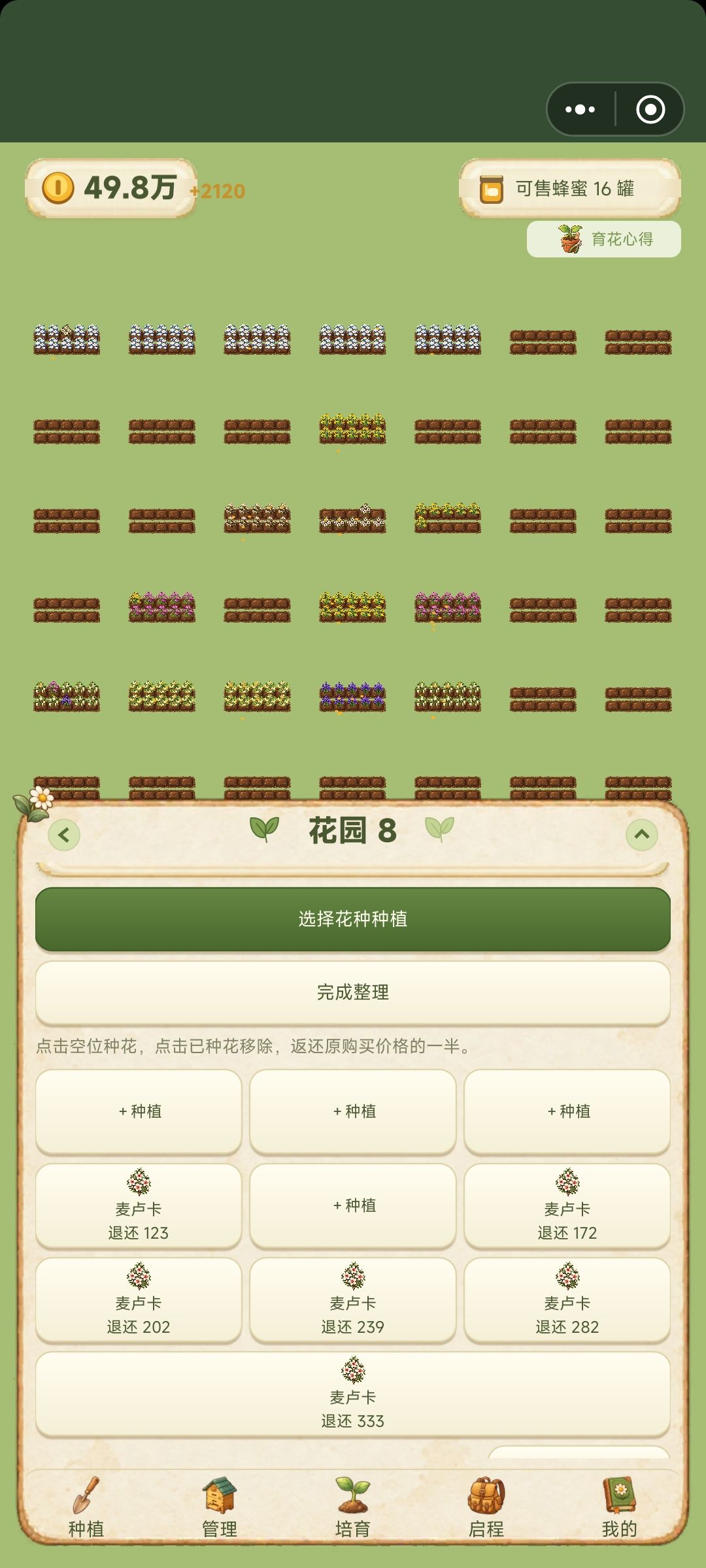 如何用花摆出图案，同花园如何种植不同花朵 2