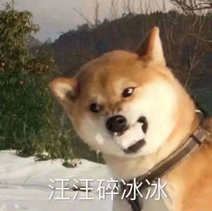 动态图片 5