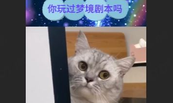 做了个诡异的梦,沉浸式体验女生宿舍闹鬼截图