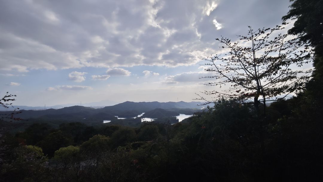 求助下载 1