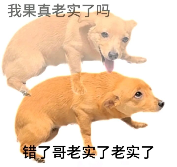 王都遇敌不时停真的是很天才的设计截图