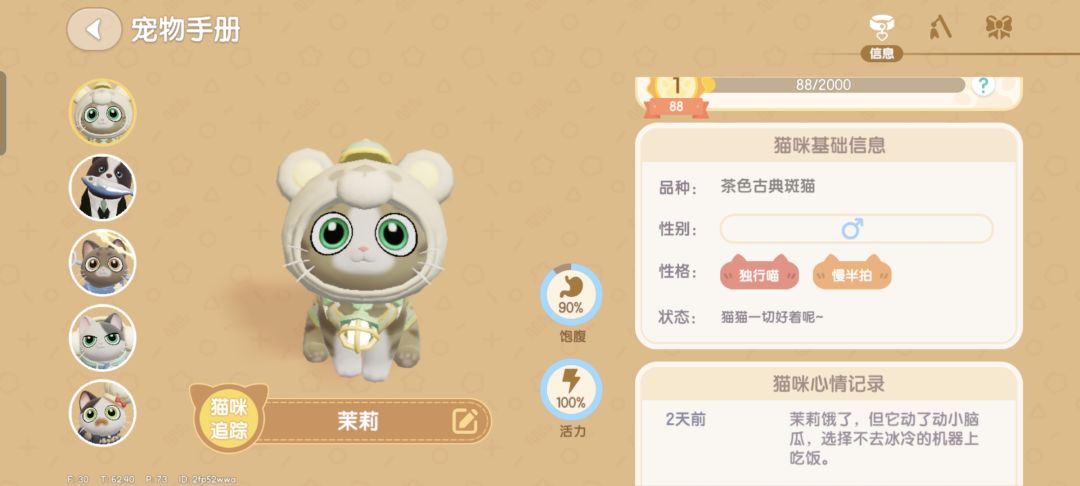 家里所有的猫都不喜欢喂食器怎么办 4