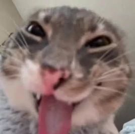 好好笑 2