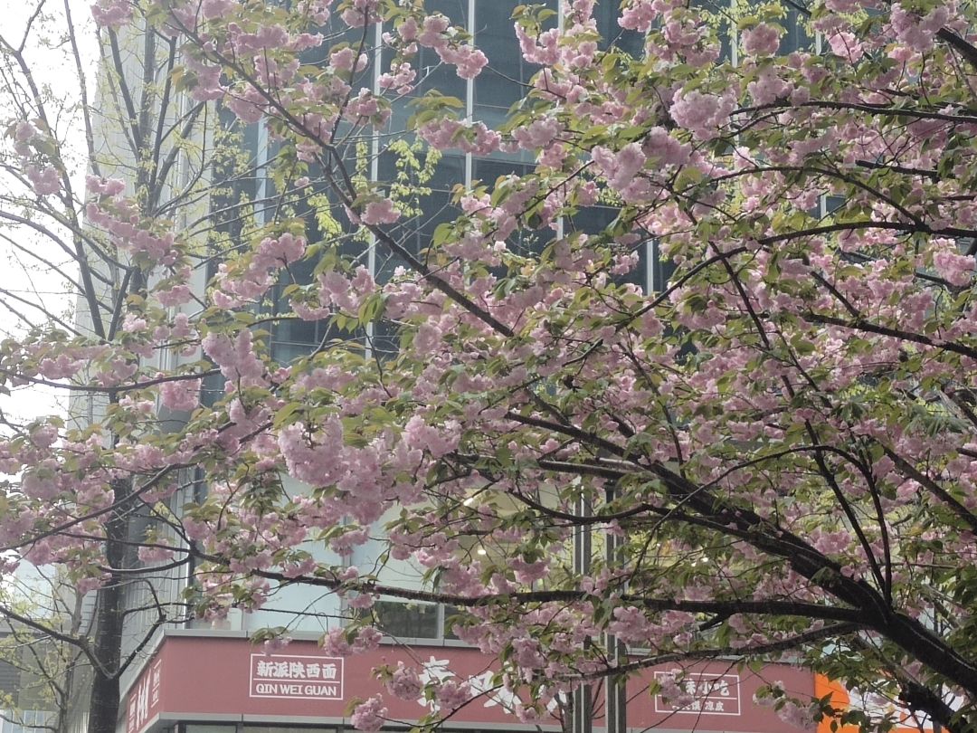 只更势力,还是没玩头 2