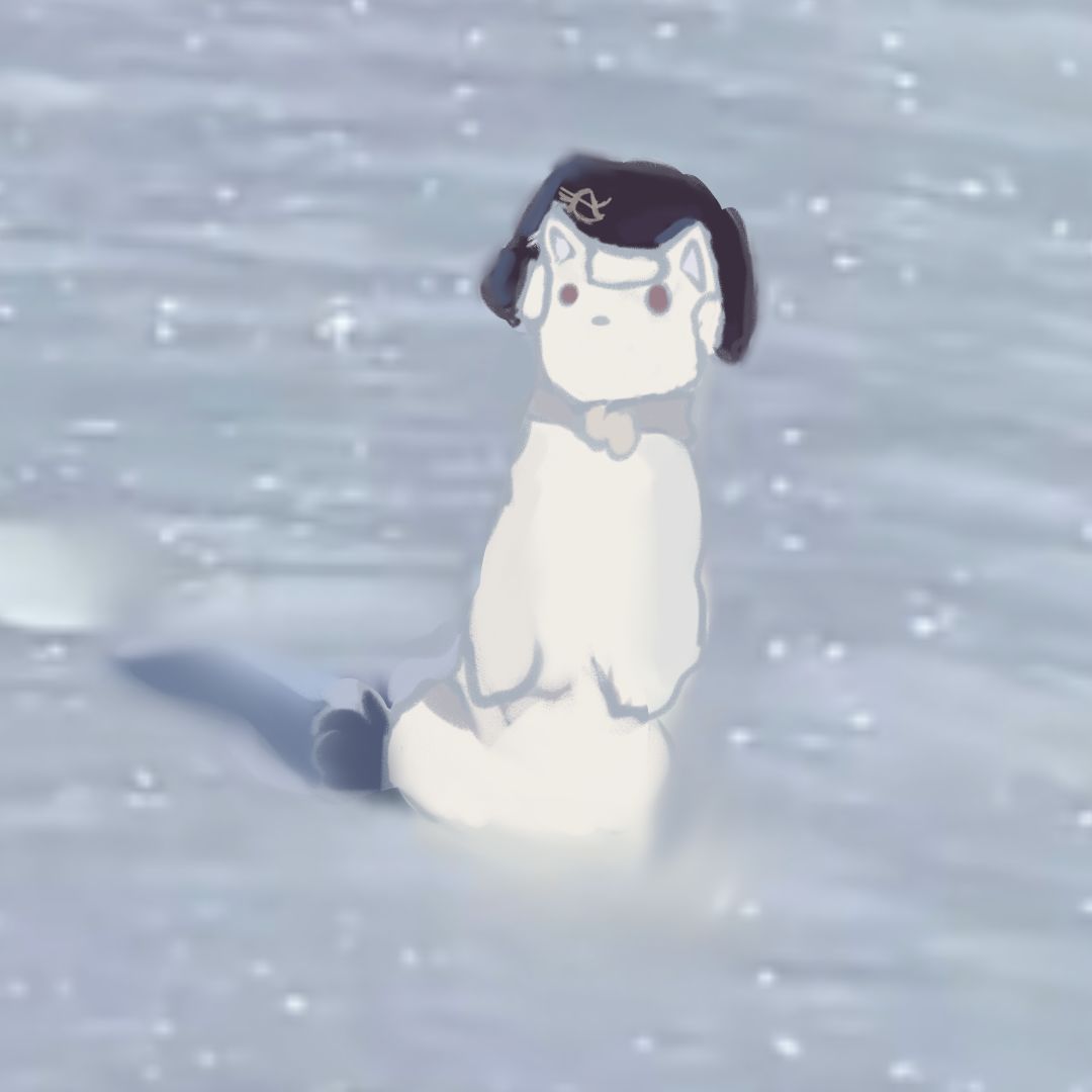 令人眼熟的白鼬 1