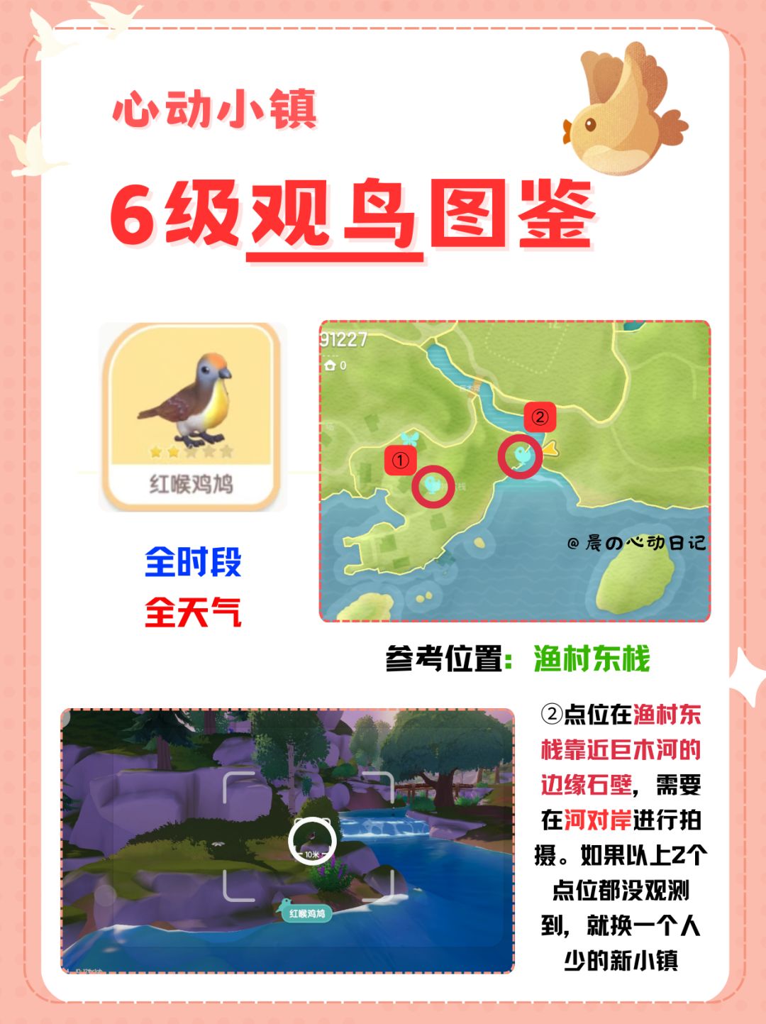 心动小镇6级观鸟详细位置‼️ 3