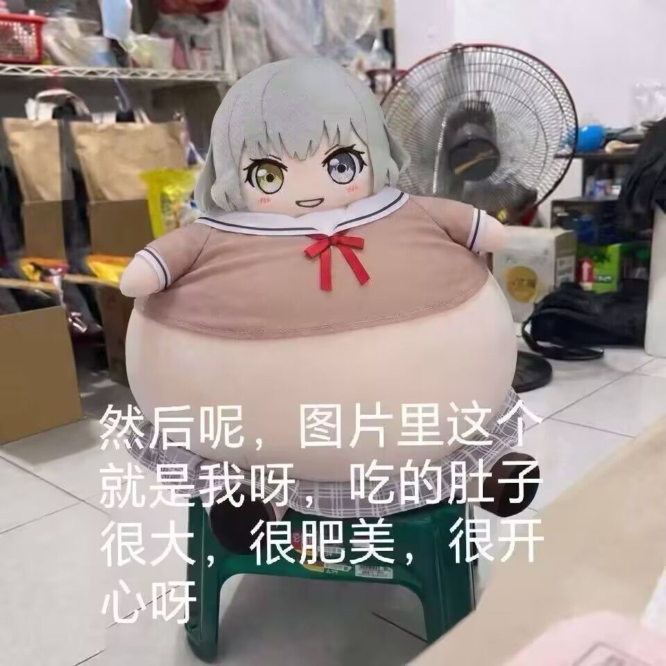 大胃袋这一块 2
