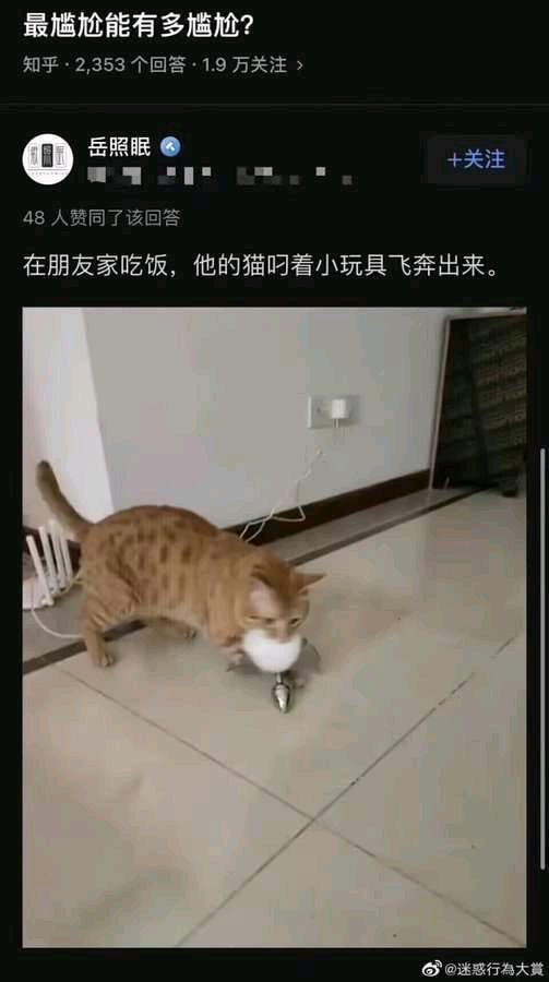 这事儿咋能整成这样的 1