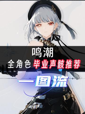 鸣潮全角色毕业声骸推荐！一图流！