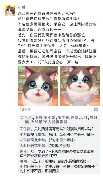 【小猫趣多多】偷偷看看小帅的朋友圈