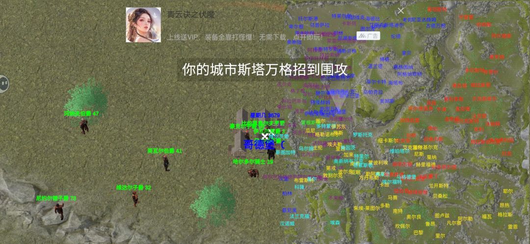动态图片 2